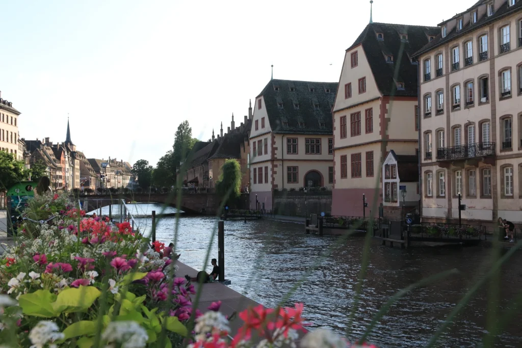 IMG 1022 1024x683