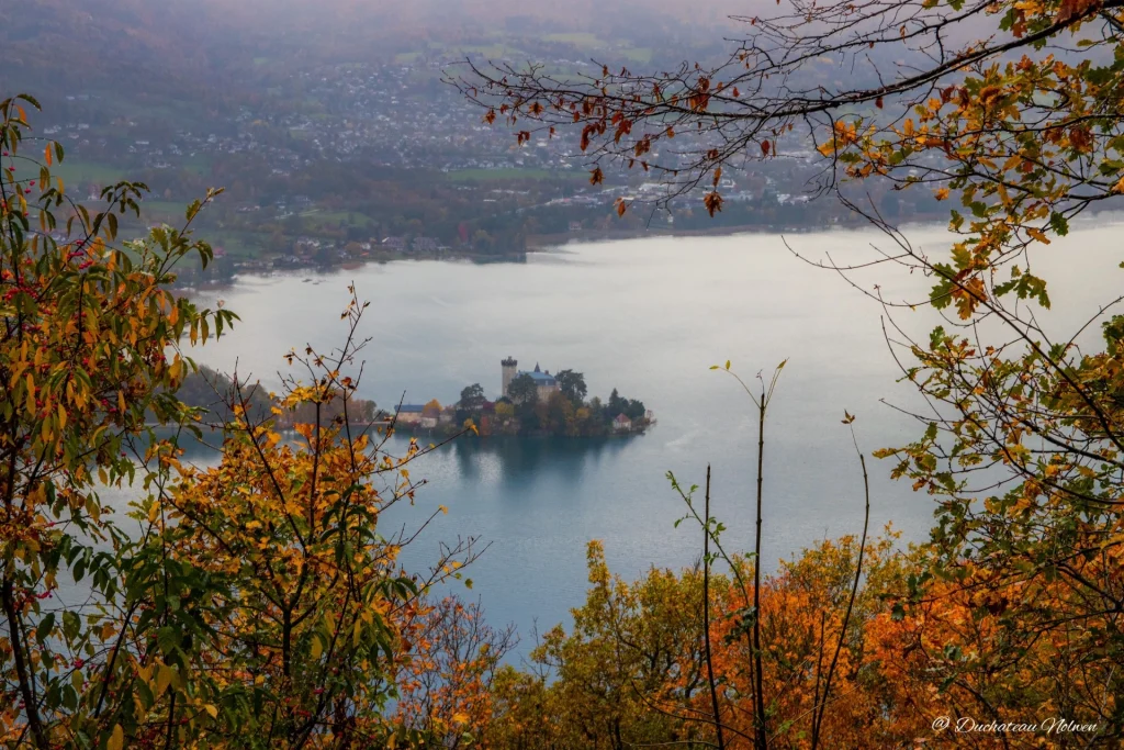 IMG 1438 1024x683