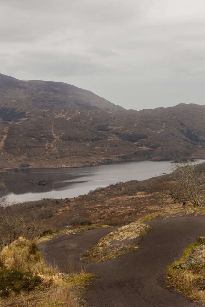Irlande du sud Killarney Park