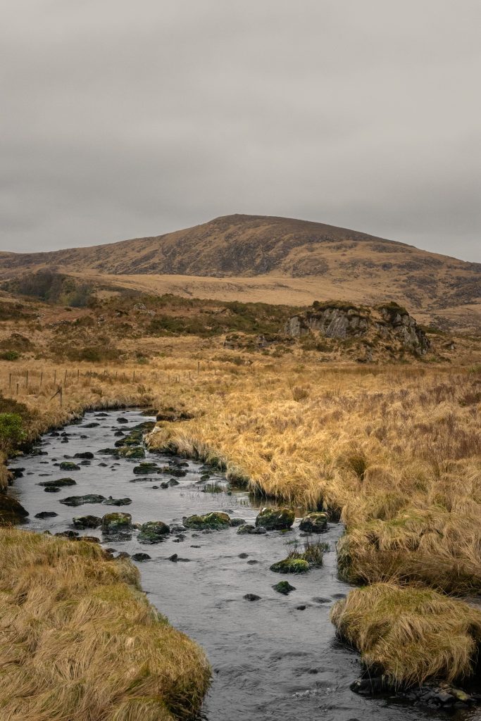 Irlande du sud Rivière Owengarrif