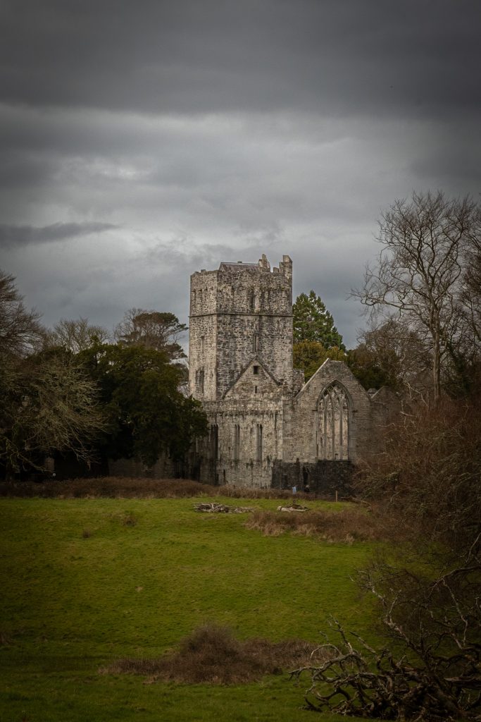 Irlande du sud Chateau de Ross