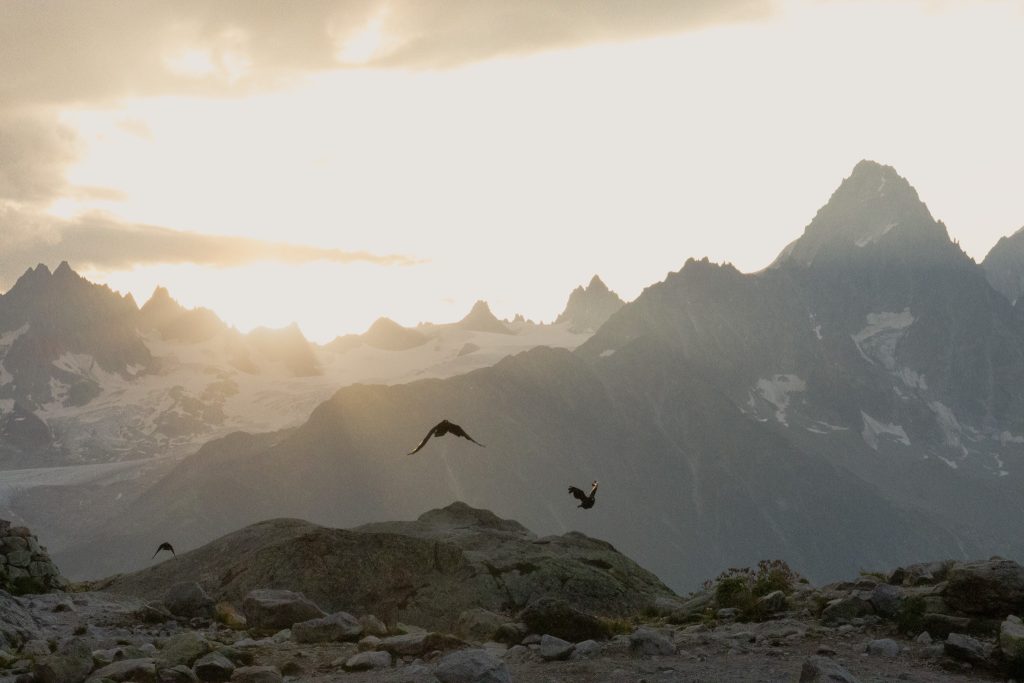 Les aiguilles rouges Lever de soleil Lac Blanc