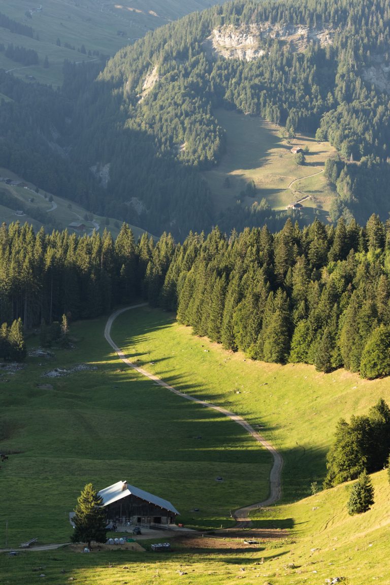 Le trou de la mouche Les prairies des Aravis