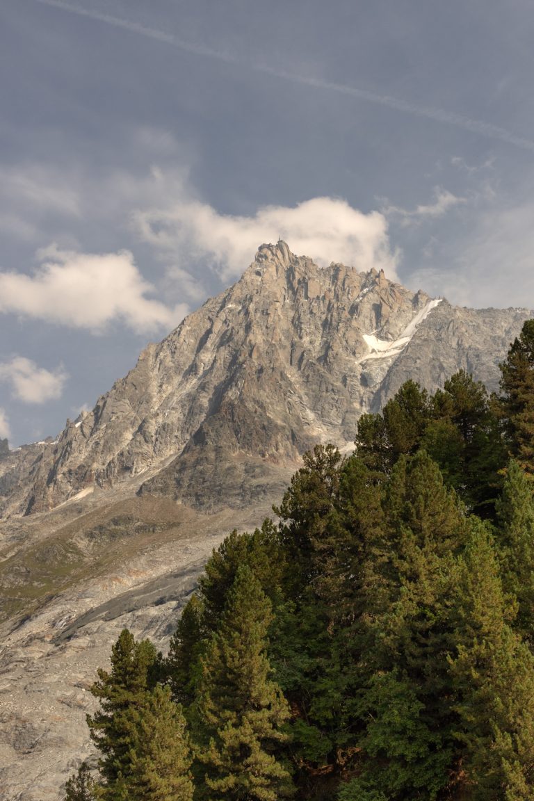 La jonction Vue depuis la foret
