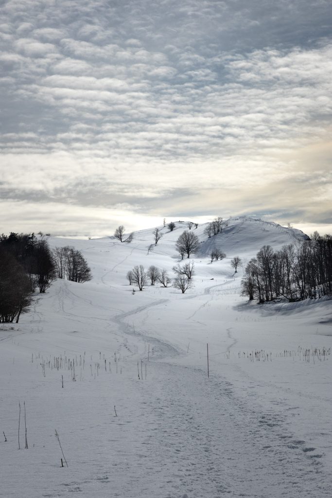 Les crêtes Plaine de Surlyand
