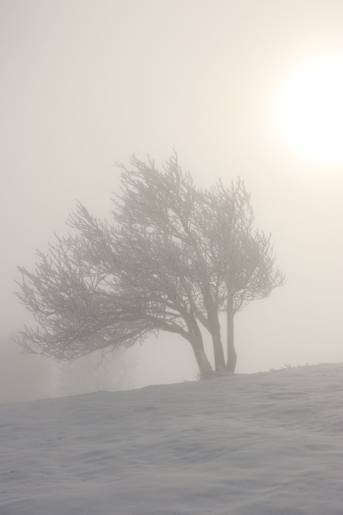 Les crêtes Nature givrée
