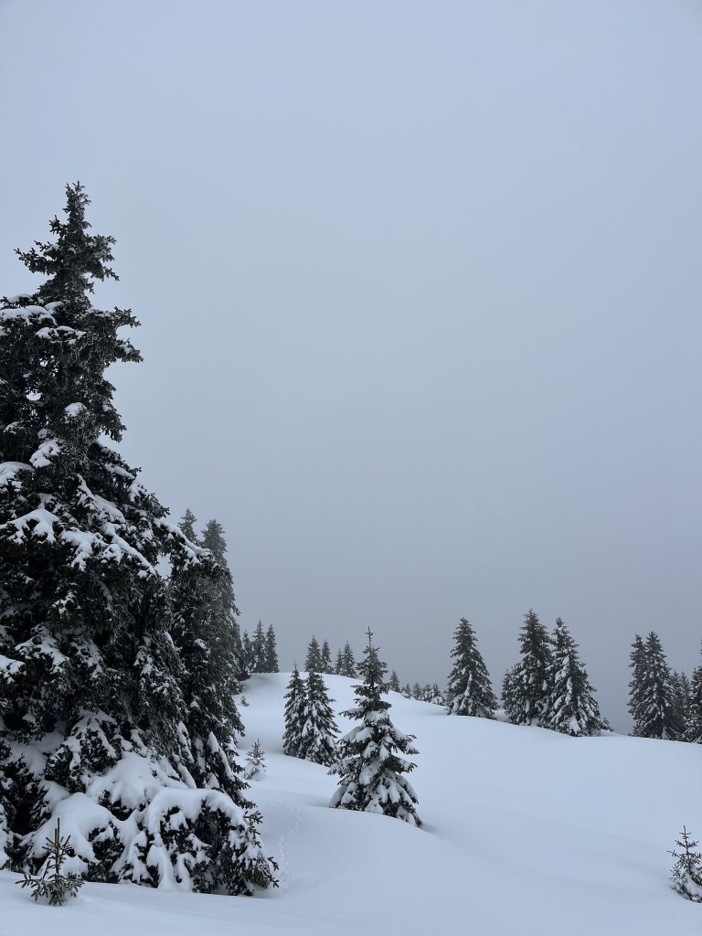 Le plateau
