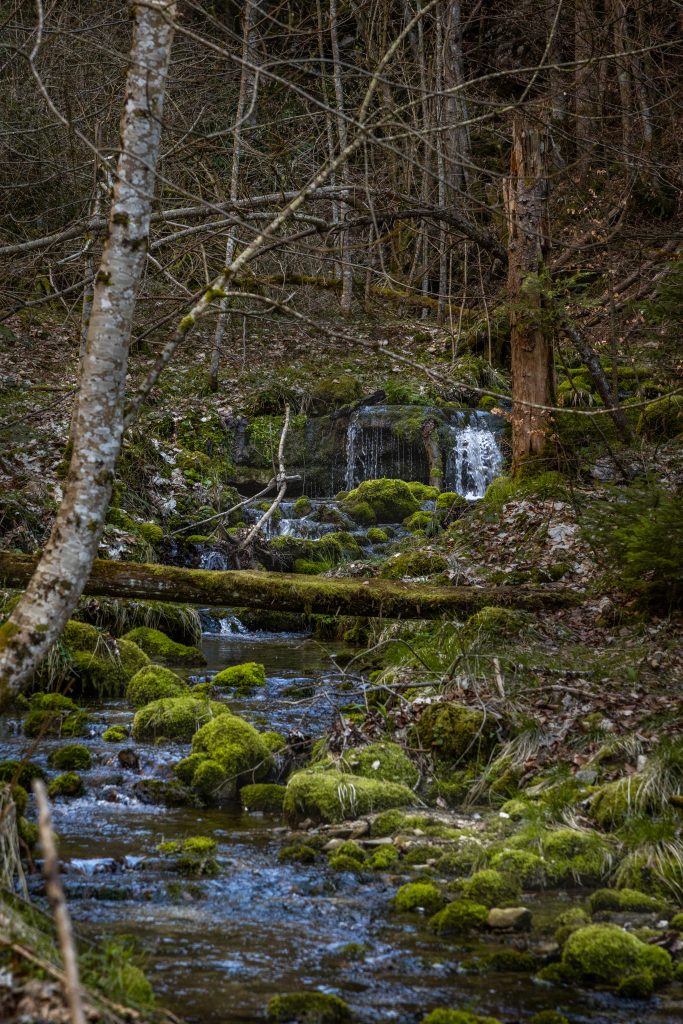 Le tour des Coulmes Cascade de Gerlette